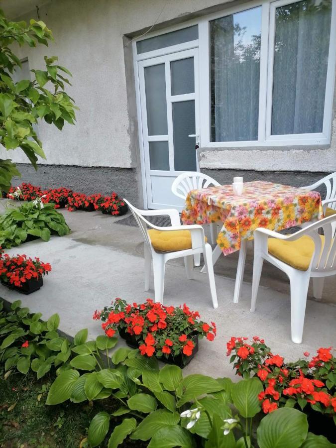 Pavicevic Apartment โซโคบานยา ภายนอก รูปภาพ